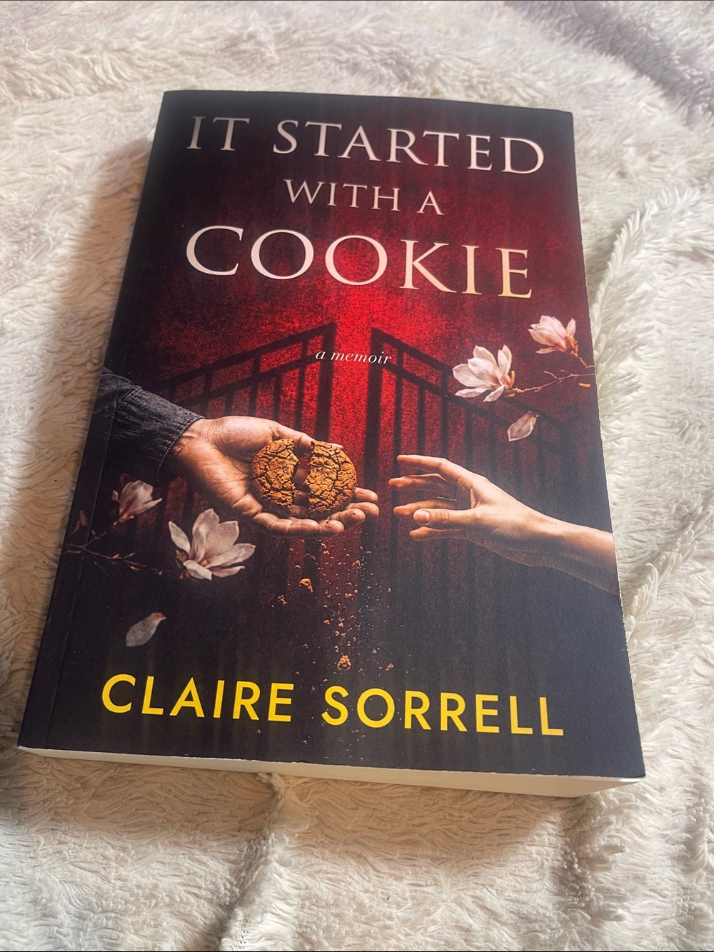 "It Started With a Cookie" soft cover book by Claire Sorrell